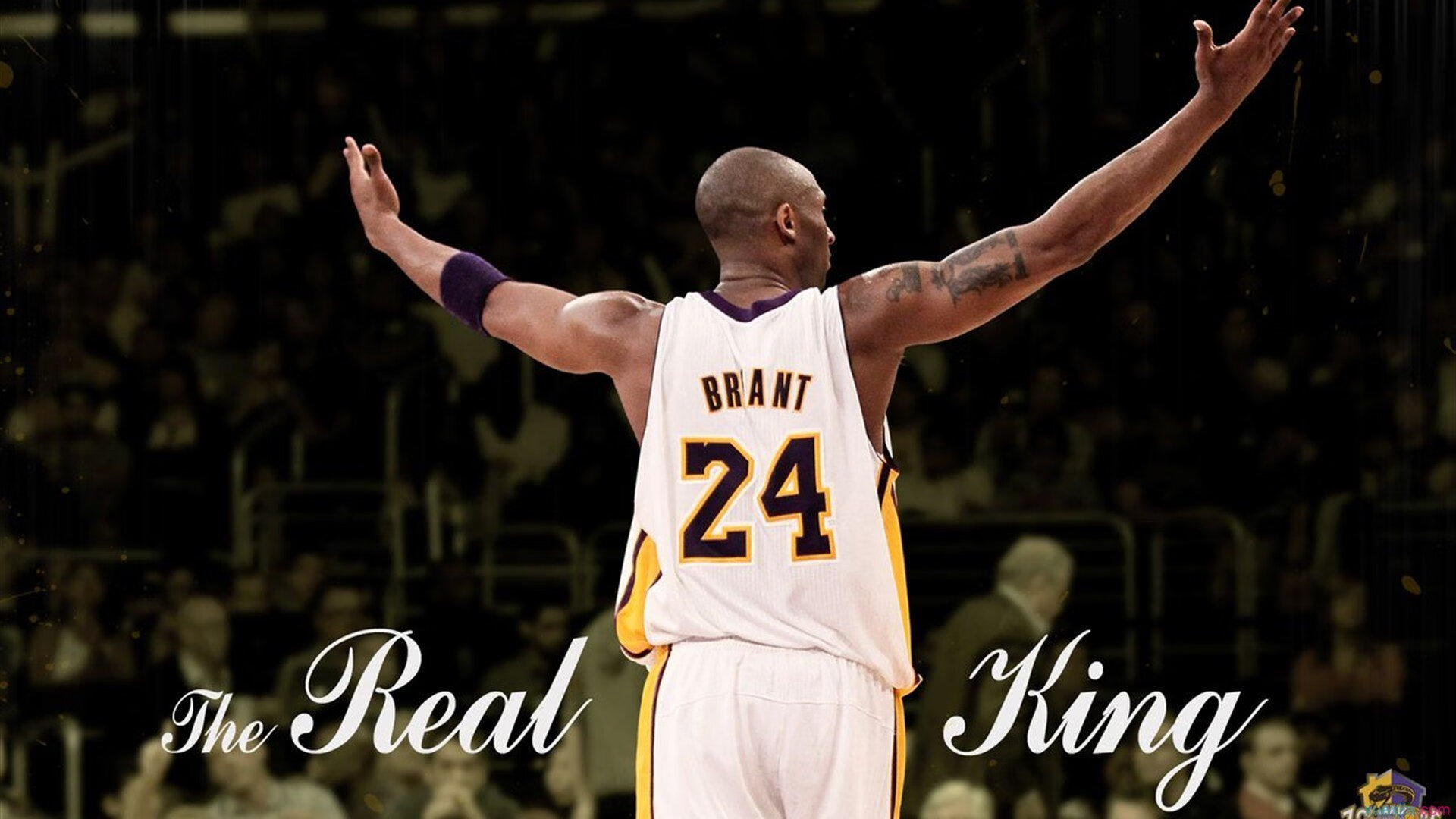 国内篮球游戏开发公司推出青少年模式结合教育与竞技体验，青少年篮球机构