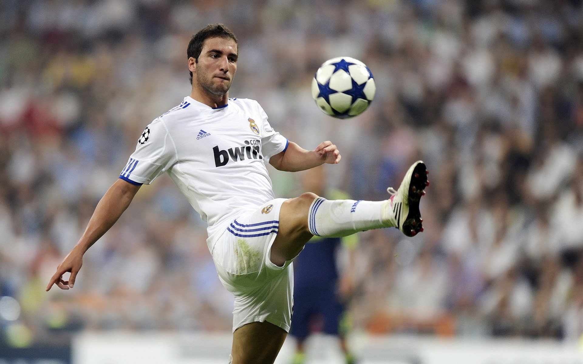 Jiu You-体育赛事志愿者招募活动，大型体育赛事志愿者的招募